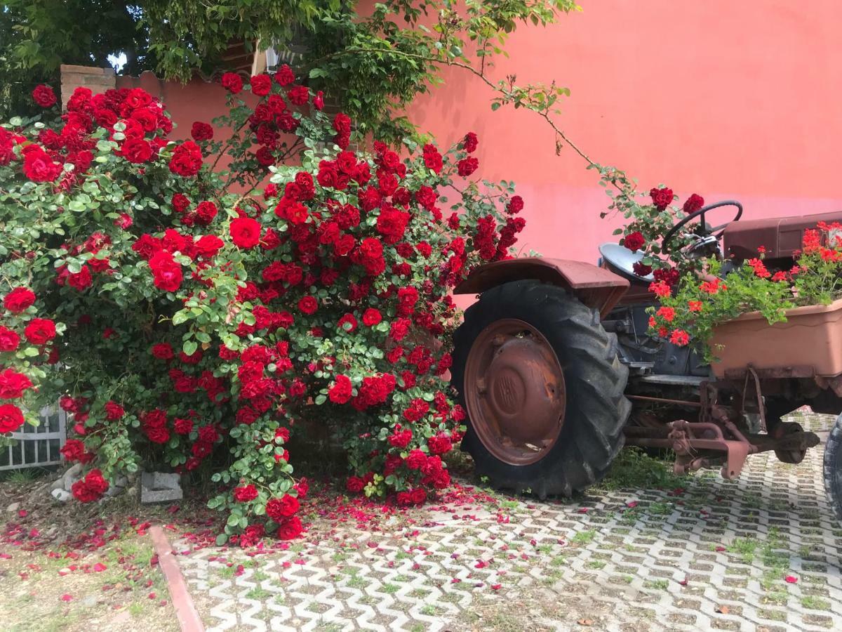 Agriturismo Mulino Bianco Lonato Ngoại thất bức ảnh